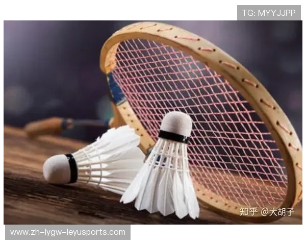 羽毛球品牌旋风