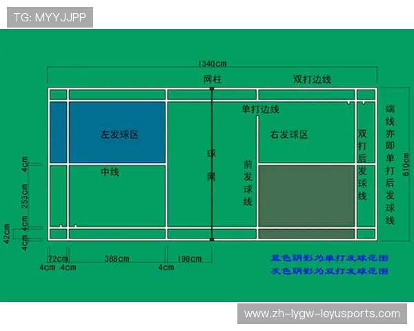 羽毛球水平标准