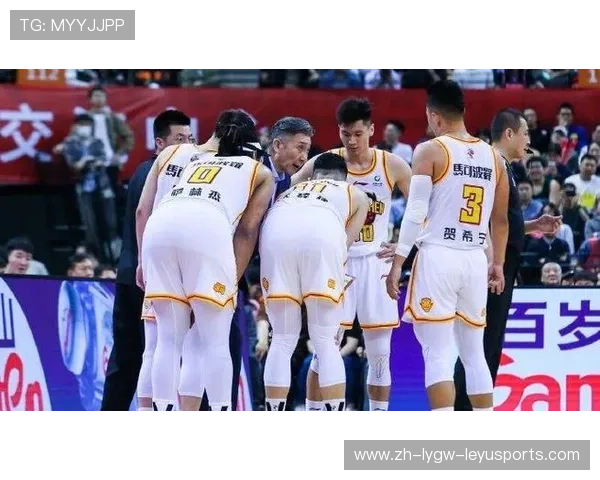 河南是否有CBA球队?省级联赛与职业梯队介绍 河南是否有CBA球队?省级联赛与职业梯队介绍